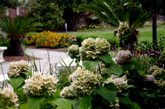 092210_garden_3_06 092210_garden_3_06