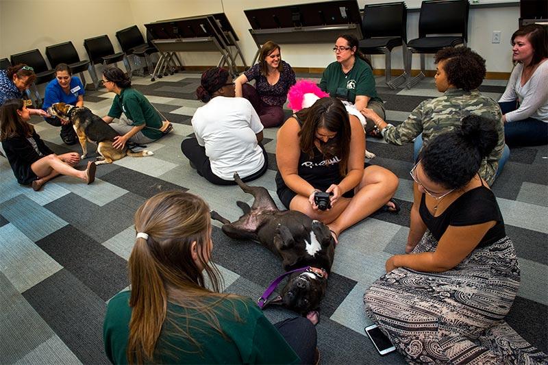 Several dogs and a cat with the Louisiana SPCA Visiting Pet Program participated in an hour-long meet-and-greet with students, faculty and staff at the Tulane School of Social Work.