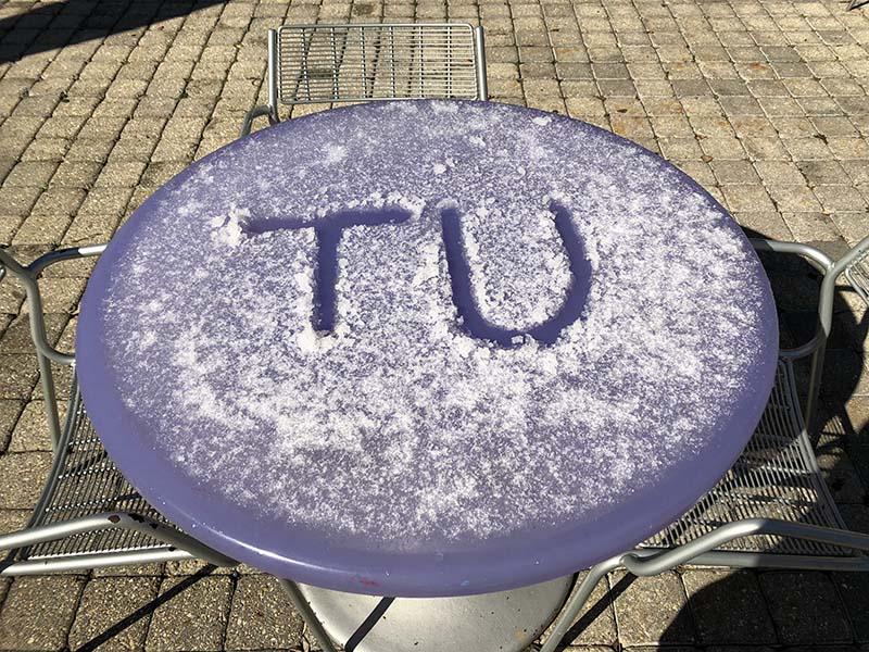 Snow table 