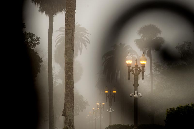 Low-hanging clouds create a dreamy scene at Audubon Place.