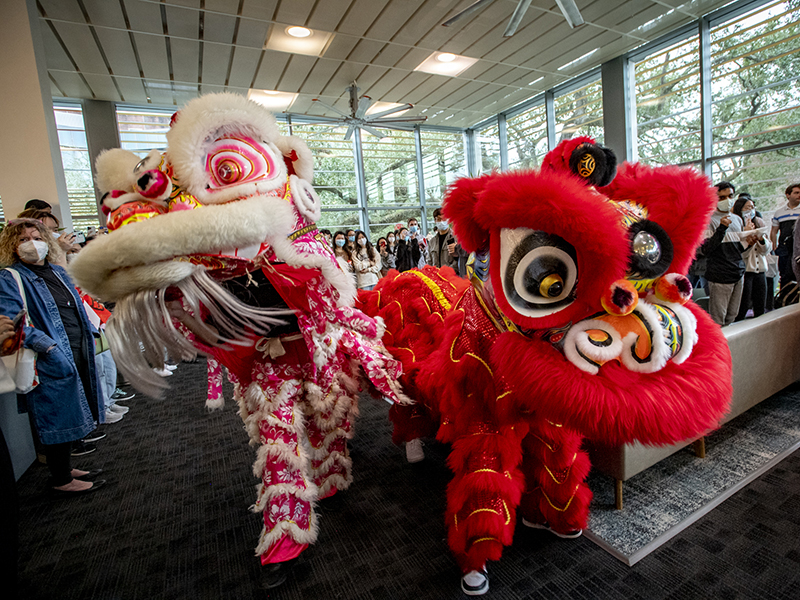 The Rising Dragon Lion Dance Team (LDT) weaves through the crowd during Global Café’s celebration. The first day of the Lunar New Year begins on the new moon that appears between Jan. 21 and Feb. 20 each year.