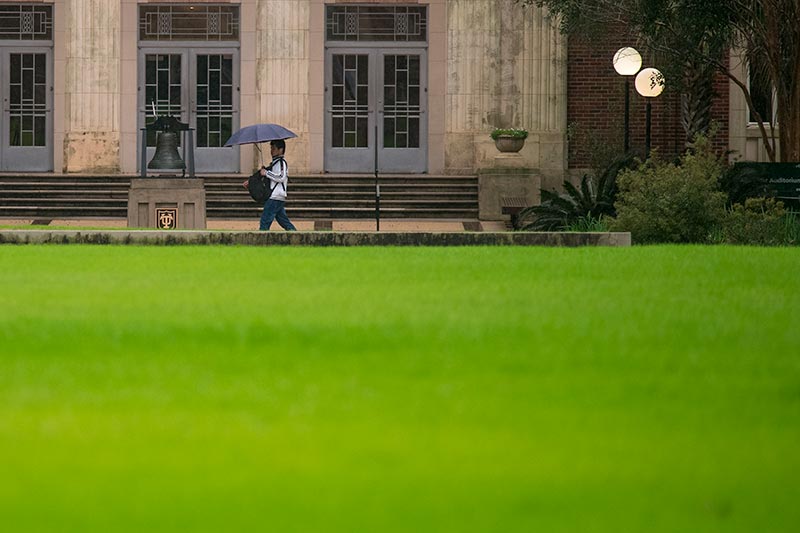 Winter grass on the Lavin-Bernick Center quad appears to be a sea of green. 