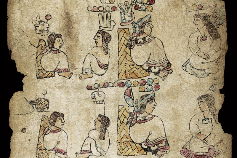 Codex Tulane