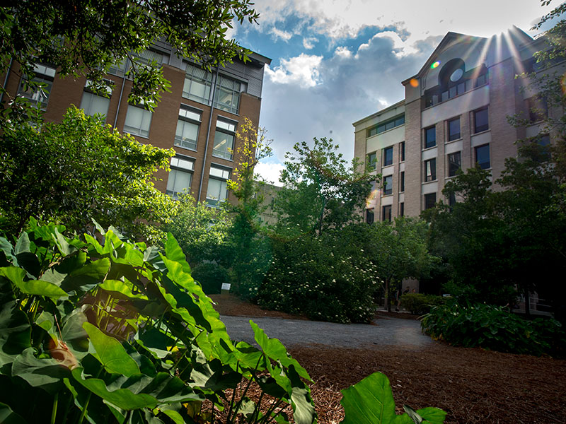 With facilities located throughout the region, the Tulane School of Science and Engineering responds to the needs of the local and global communities.