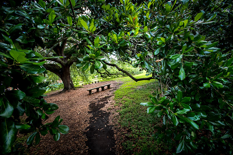 Looking to avoid the heat during a walk across campus? Right this way…