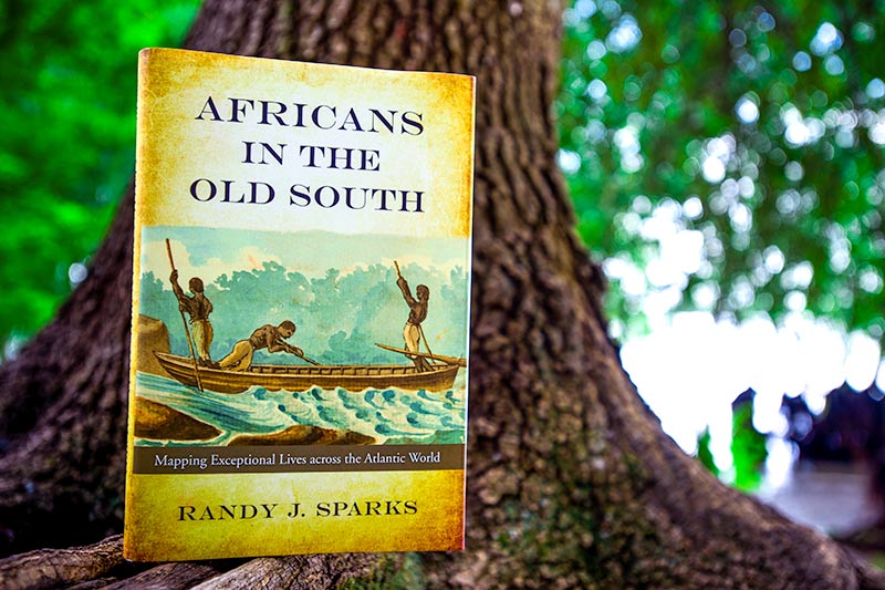 Book by Randy J. Sparks, Africans in the Old South