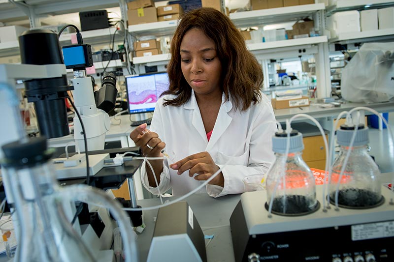 Scientists examine the role of cells and protein composition in women’s reproductive health.