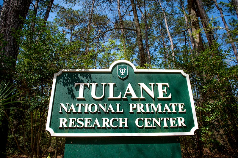 Tulane National Primate Research Center