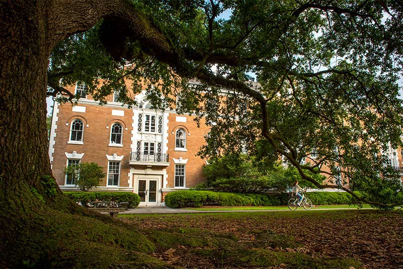 Tree's company Tulane News