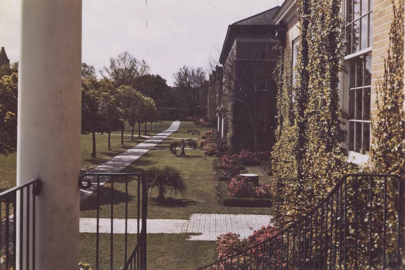 The view from the porch of the Student Center shows the path in front of an ivy-covered Alcee Fortier Hall and Mussafer Hall, which ends at Cudd Hall