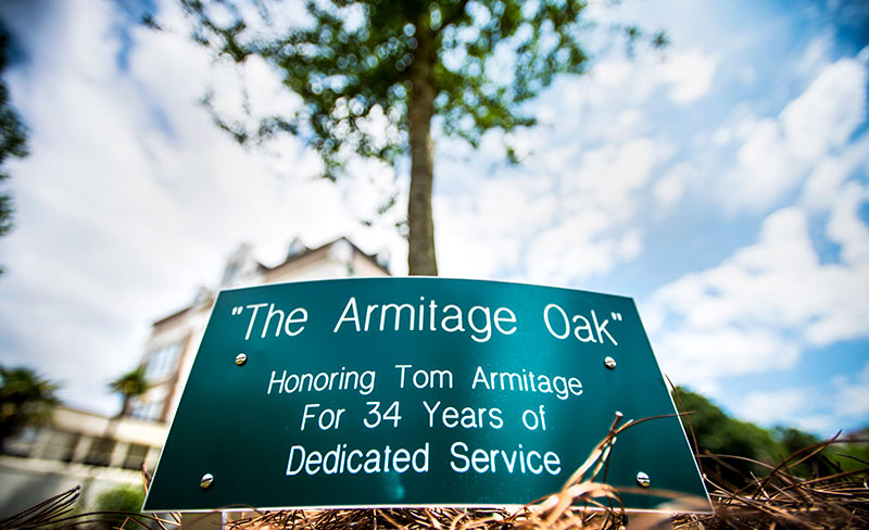 Armitage Oak