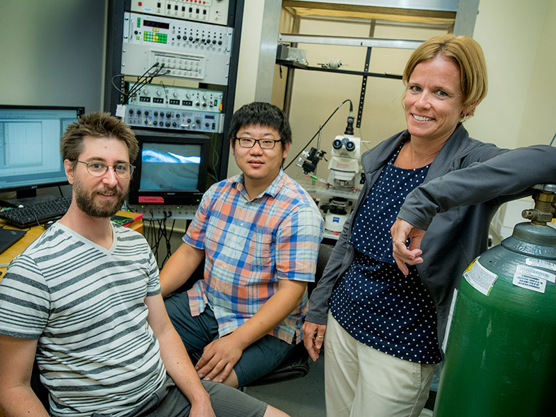 Laura Schrader (right), along with graduate student, Diankun Yu (center) and postdoc, Matthieu Maroteaux (left), are exploring Shox2’s potential link to epilepsy, autism and schizophrenia.