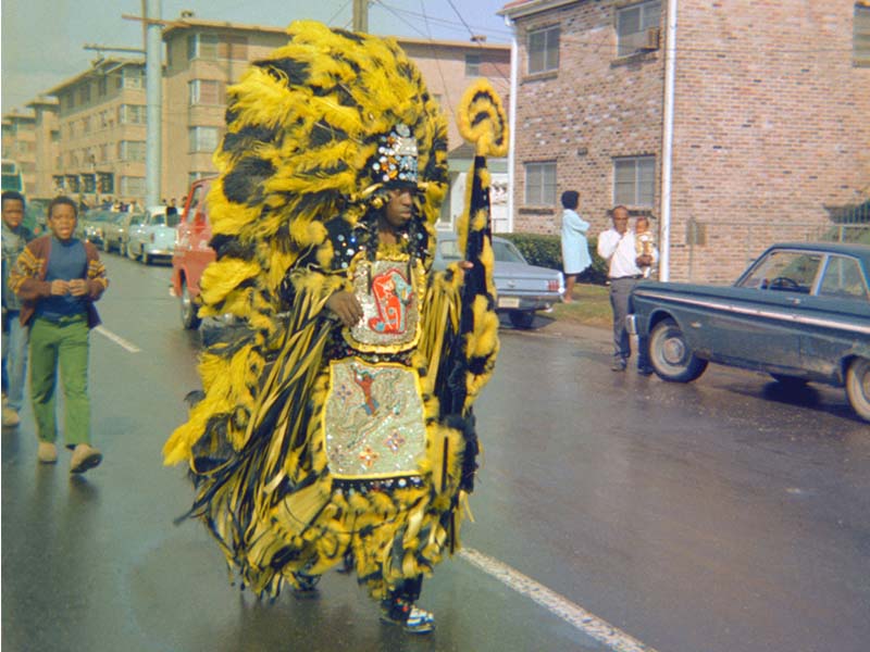 
Mardi Gras Indian-Draper Collection 