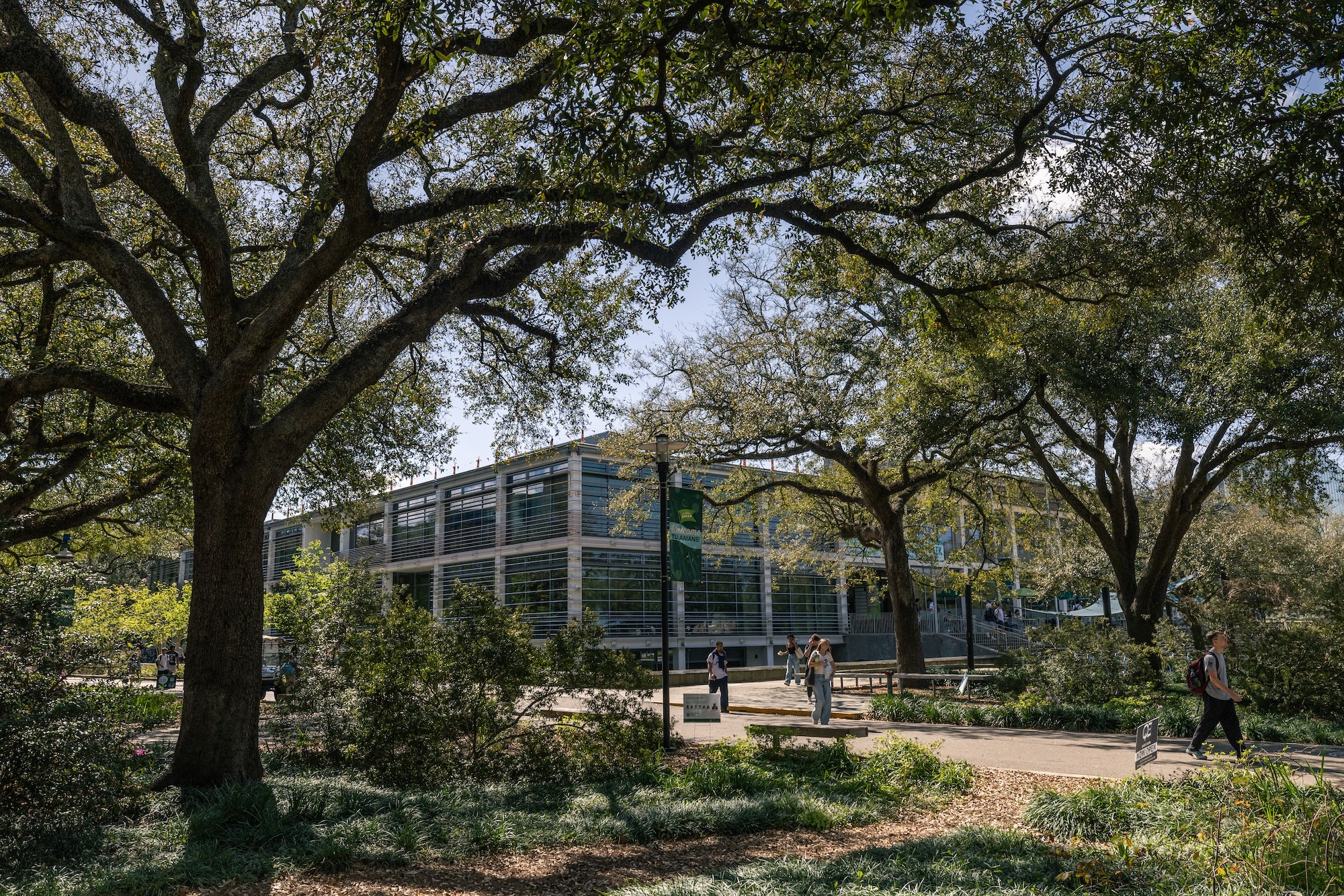 
Modern glass building framed by large trees, people walk on sunny paths. 