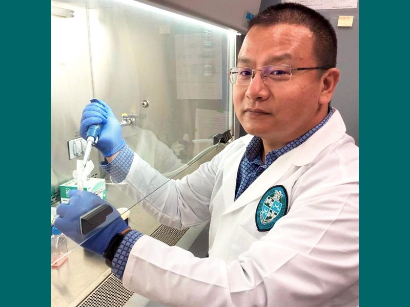 Zhen Lin, associate professor of pathology at the School of Medicine. 