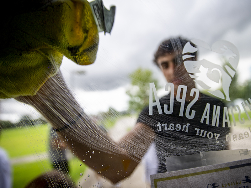 Tulane junior Ian Michelson wipes down windows at the Louisiana Society for the Prevention of Cruelty to Animals.