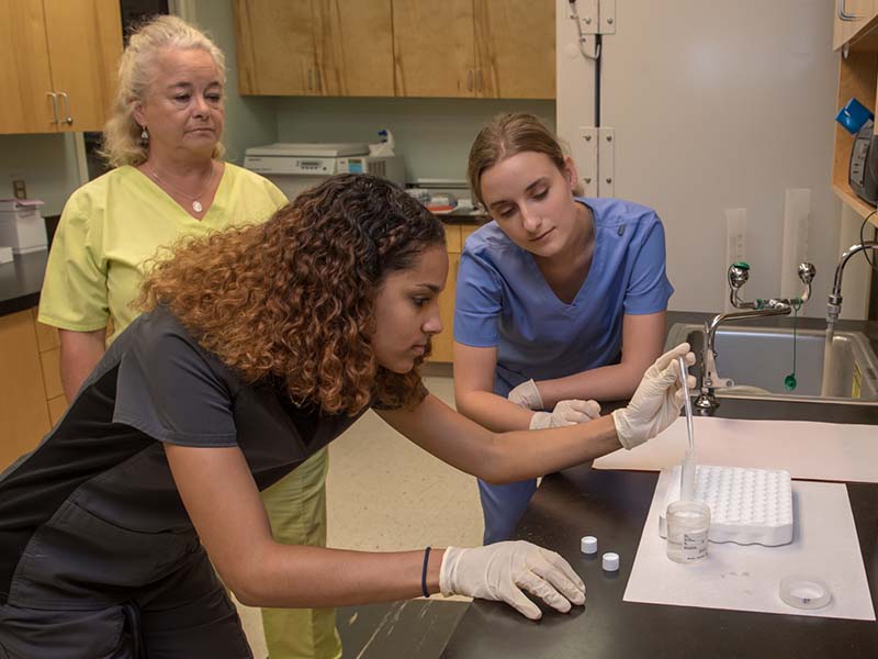 Tulane’s School of Professional Health and Tropical Medicine graduate school is ranked No. 13, while its Master of Health Administration program is No. 17, according to the latest rankings by U.S. News & World Report. (Photo by Sally Asher)