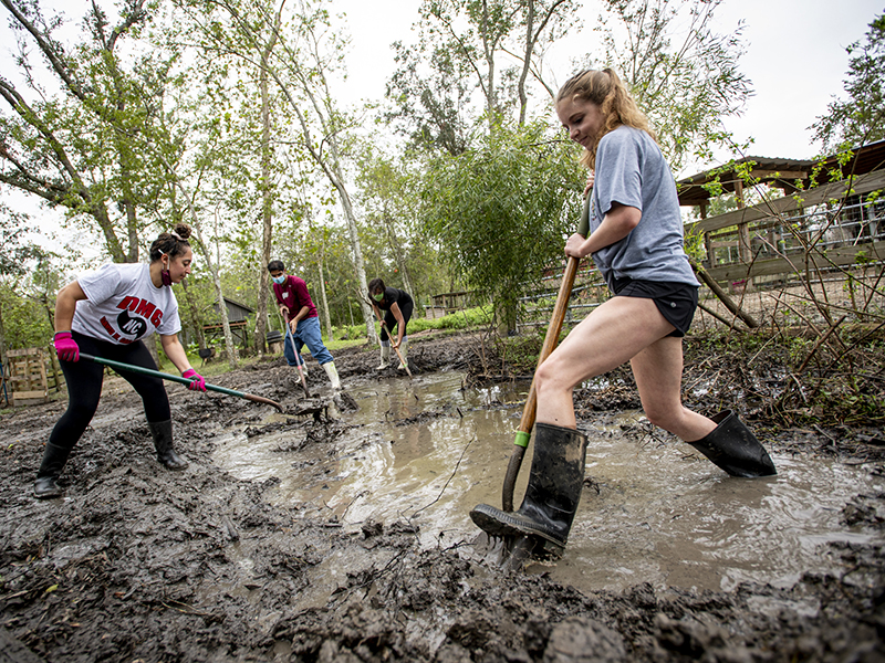 Architecture graduate students Ella Jacobs, Karan Sharma, Mandii Malhotra and Ellen Feringa, left to right, dig a diversion pond, one of several on the farm that help reroute water after a heavy rainfall. 