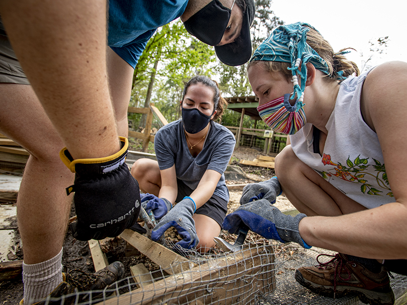 Johnathan Michka, Valentina Mancera and Natalie Rendleman, left to right, disassemble what is left of a chicken coop damaged by a fallen tree during Hurricane Ida.