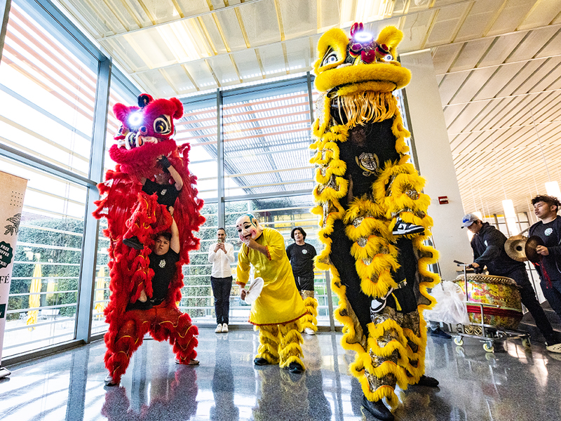 A Lion Dance is performed by the Rising Dragon Lion Dance Team.