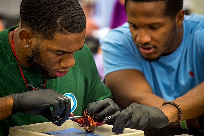 Eric Bowie, left, gently examines the parts a crawfish as Quinlan Carroll looks on.