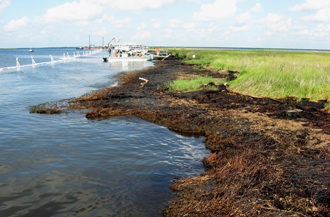 oilspill