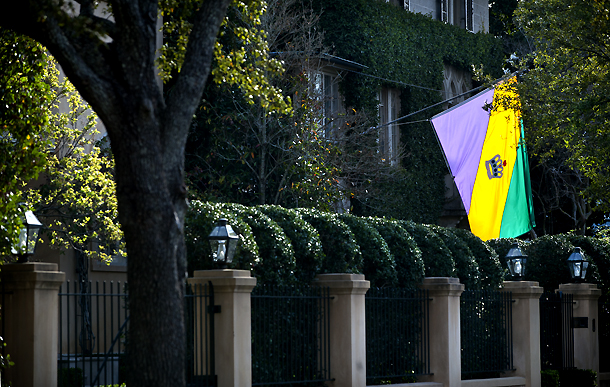 Rex Flag