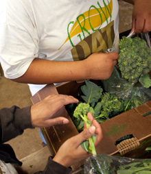 Students at Grow Dat pack produce they've grown