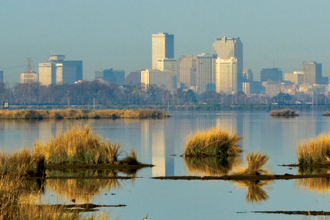 New Orleans skyline.