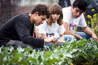 Student Supported Agriculture Student Supported Agriculture