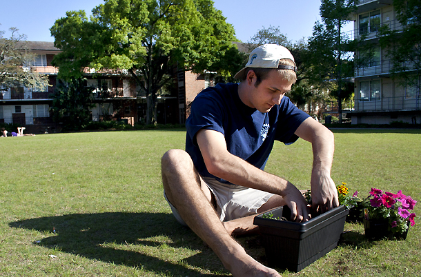 planting flowers