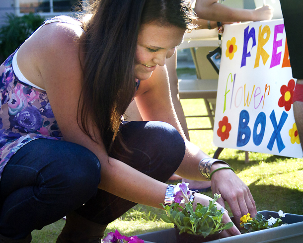 planting flowers