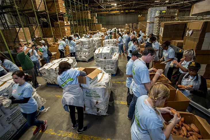 Hundreds of Tulane employees volunteer during the annual Wave of Green. 