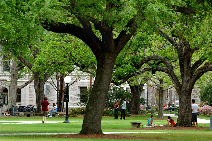 Campus landscape