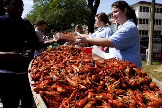 Crawfest 2013