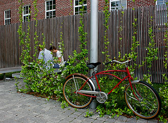 bike on campus