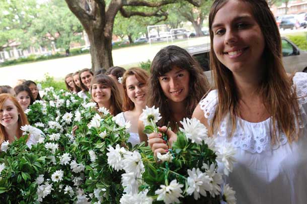 Daisy Chain Daisy Chain