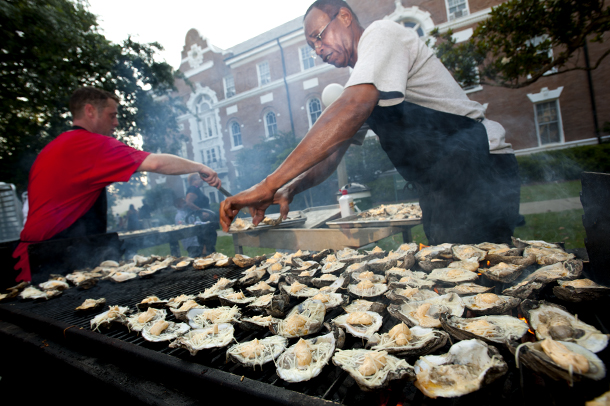 Wave Goodbye Wave Goodbye