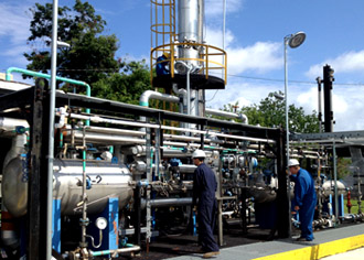 Nunez plant