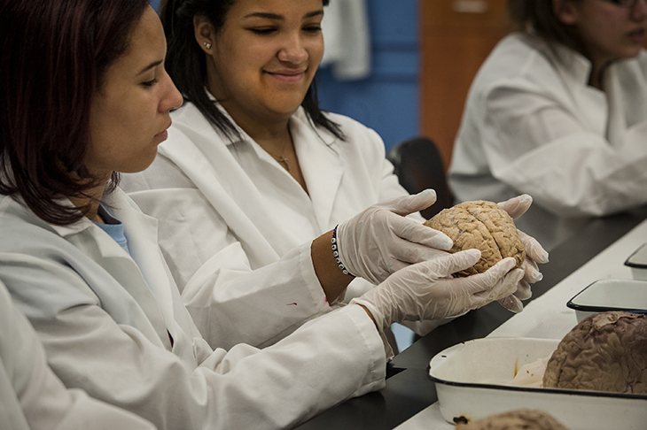 High school students in the lab at Tulane