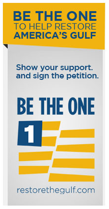 Be the One