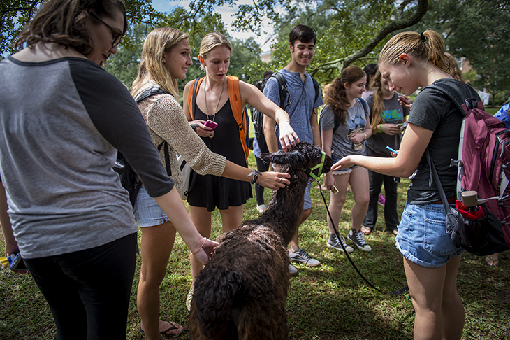 Petting zoo on campus Petting zoo on campus