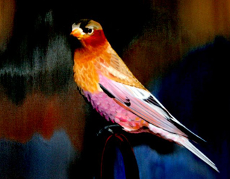 rodenhauser_art