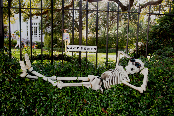 Lazy Bones