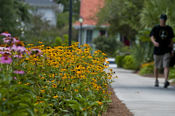 newcomb garden