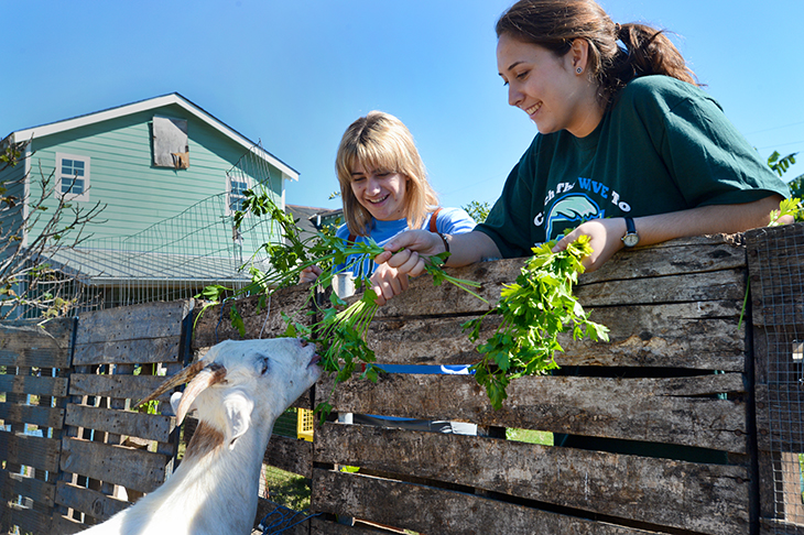 Make a Difference Day