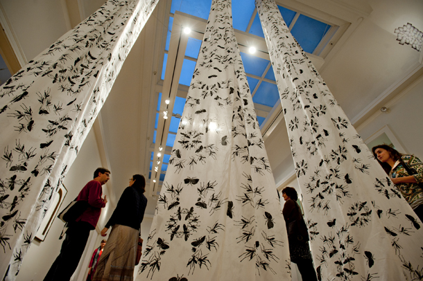 Columns of Nuisance