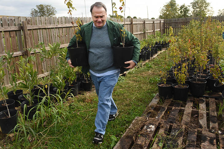President Fitts chooses trees for wetlands planting. President Fitts chooses trees for wetlands planting.