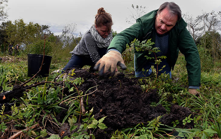 President Mike Fitts plants a tree. President Mike Fitts plants a tree.