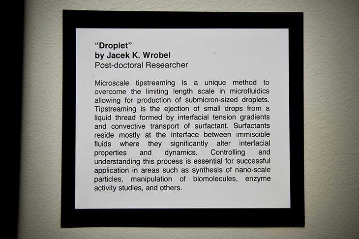 Computational Art Show